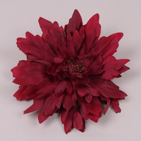 Головка Айстри темно-червона Flora 23659