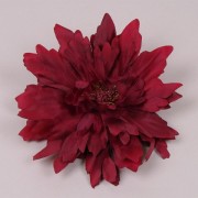 Головка Астры темно-красная Flora 23659