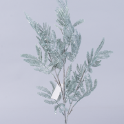 Ветка листья мимозы (gr -01 - зеленая) 1620-2