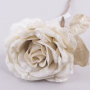Бархатная роза (cr-01 -кремовая) 2011-1