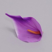 Головка Каллы фиолетовая Flora 23374