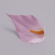Головка Каллы розовая Flora 23377
