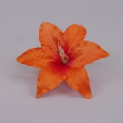 Головка Лилии оранжевая Flora 23110