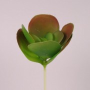 Суккулент искусственный зеленый 25 см. Flora 72224