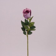 Цветок Роза фиолетовый  Flora 72120