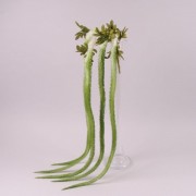 Ветка декоративная свисающая бело-зеленая 108 см. Flora 72304