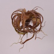 Суккулент искусственный коричневый 28 см. Flora 72225