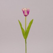 Цветок Тюльпан фиолетово-зеленый Flora 72366