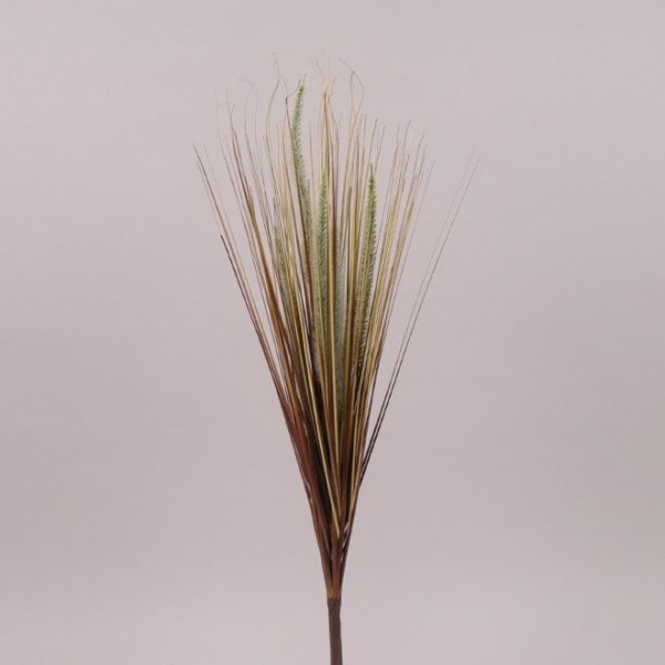Декоративна трава коричнева 70 см. Flora 72571