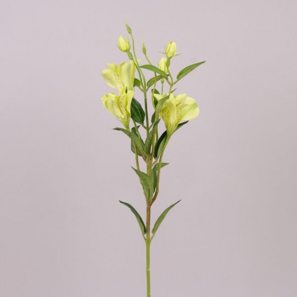 Квітка Альстромерія зелена Flora 71315