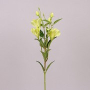 Цветок Альстромерия зеленый Flora 71315