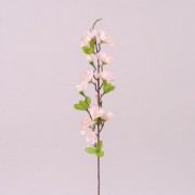 Цвет Яблони бело-розовый Flora 72268