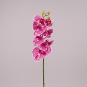 Цветок Фаленопсис розовый тигровый Flora 71641