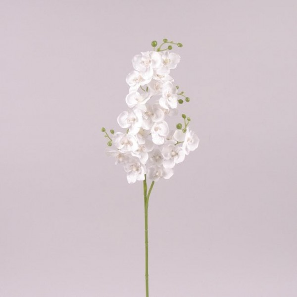 Цветок Фаленопсис белый Flora 71983