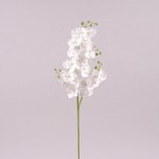Цветок Фаленопсис белый Flora 71983
