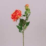 Цветок Роза английская оранжевый  Flora 71154