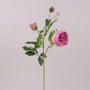 Цветок Роза фиолетовый  Flora 71090