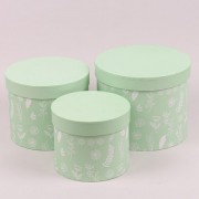 Комплект зеленых коробок для цветов 3 шт. Flora 38263