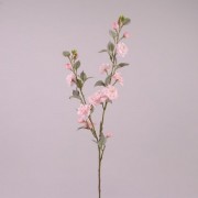 Вишневый цвет светло-розовый Flora 73240