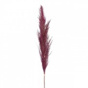 Трава пампасная натуральная фиолетовая 110 см. Flora 73161