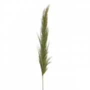 Трава пампасная натуральная зеленая 110 см. Flora  73160