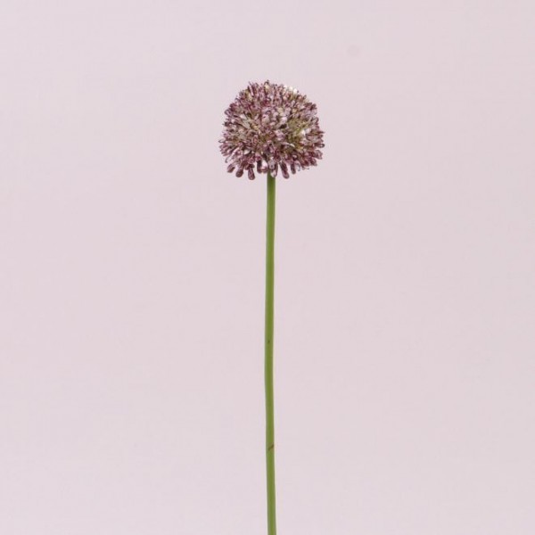 Цветок Чеснока бело-бордовый Flora 72885