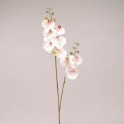 Цветок Фаленопсис из латекса белый с розовой серединкой Flora 72619