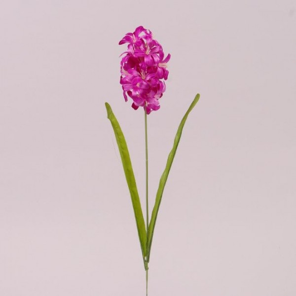Квітка Гіацинт малинова Flora 72754