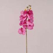 Цветок Фаленопсис темно-розовый Flora 72610