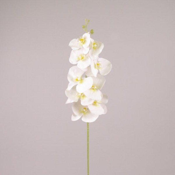 Квітка Фаленопсис з латексу біла Flora 72653