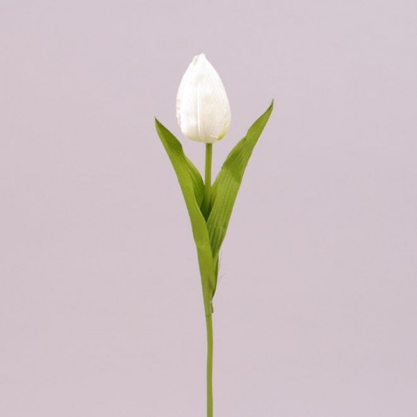 Квітка Тюльпан Flora білий 73256