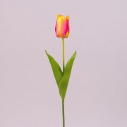 Цветок Тюльпан Flora желто-красный 73269