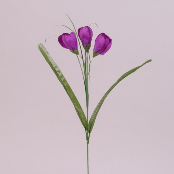Квітка Крокус Flora темно-фіолетовий 73278