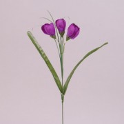 Цветок Крокус Flora темно-фиолетовый 73278