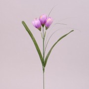 Цветок Крокус Flora светло-фиолетовый 73280