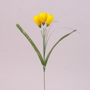 Цветок Крокус Flora желтый 73276