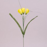 Цветок Крокус Flora светло-желтый 73275