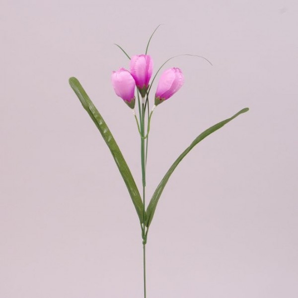 Квітка Крокус Flora рожевий 73279