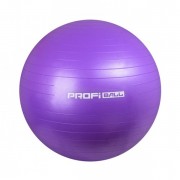 М'яч для фітнесу-55см Profiball M 0275-1 Violet