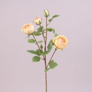 Ветка Розы Flora персиковая 73292