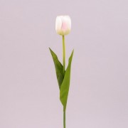 Цветок Тюльпан  Flora кремово-розовый 71477