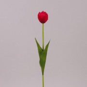 Цветок Тюльпан Flora красный 71484