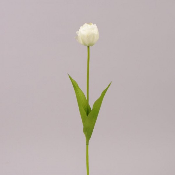 Квітка Тюльпан Flora білий 71481
