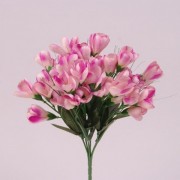 Букет Крокусов Flora темно-розовый 73219