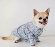 Сорочка для собак  Dogs Bomba Мiкi бірюзова RUB-42/5 Розмір 5