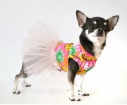 Платье для собак с фатином ананас O-84/4 Размер 4